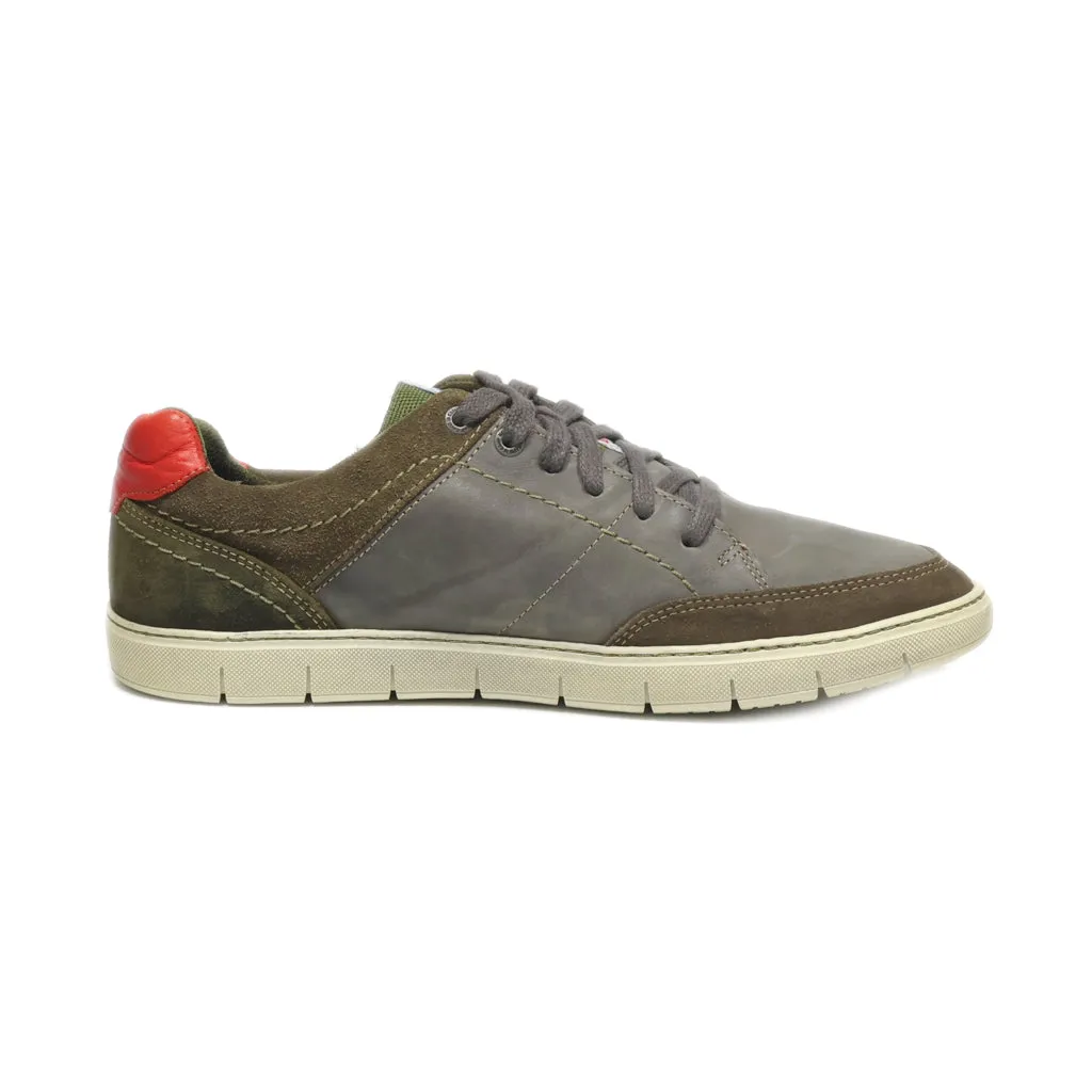 Camp David Low-Top Sneakers Leather Green Colour For Men