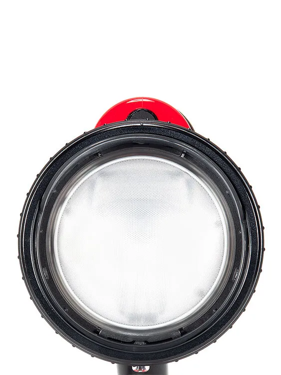 Inon D200 S-TTL Underwater Strobe (Type 2)