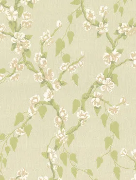 Little Greene Wallpaper Sakura Pomme