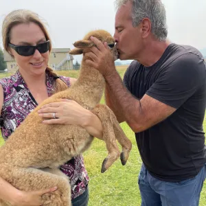 Private Alpaca & Llama Farm Tour with Owner