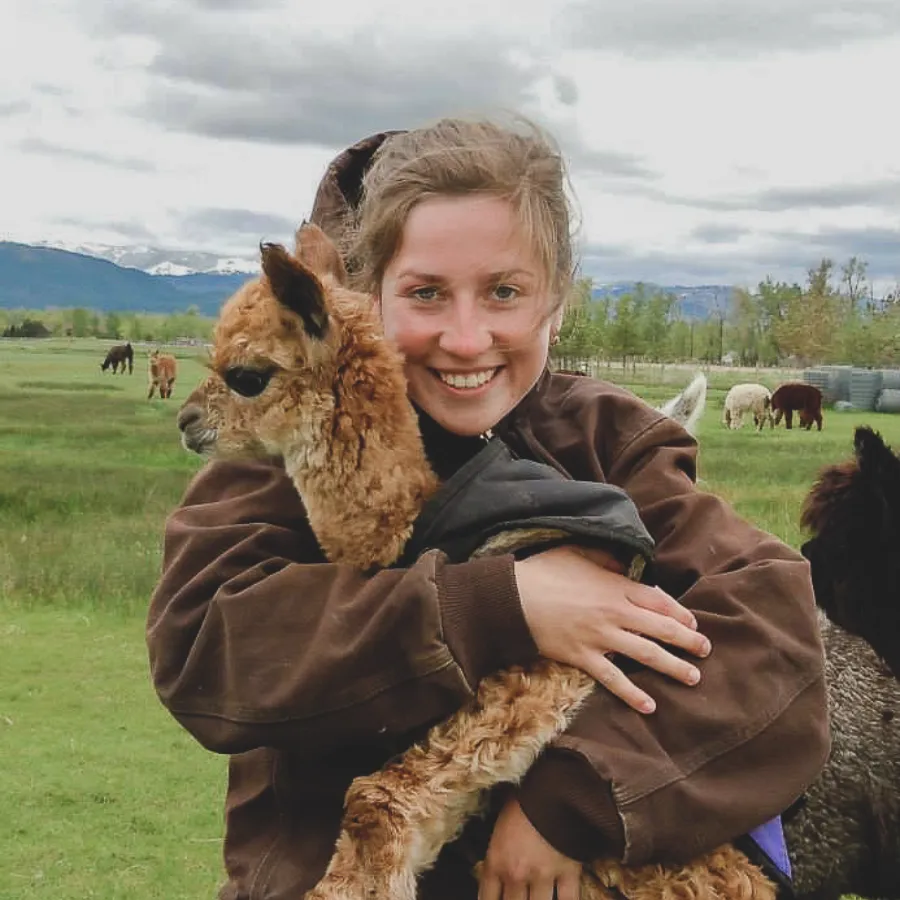 Private Alpaca & Llama Farm Tour with Owner