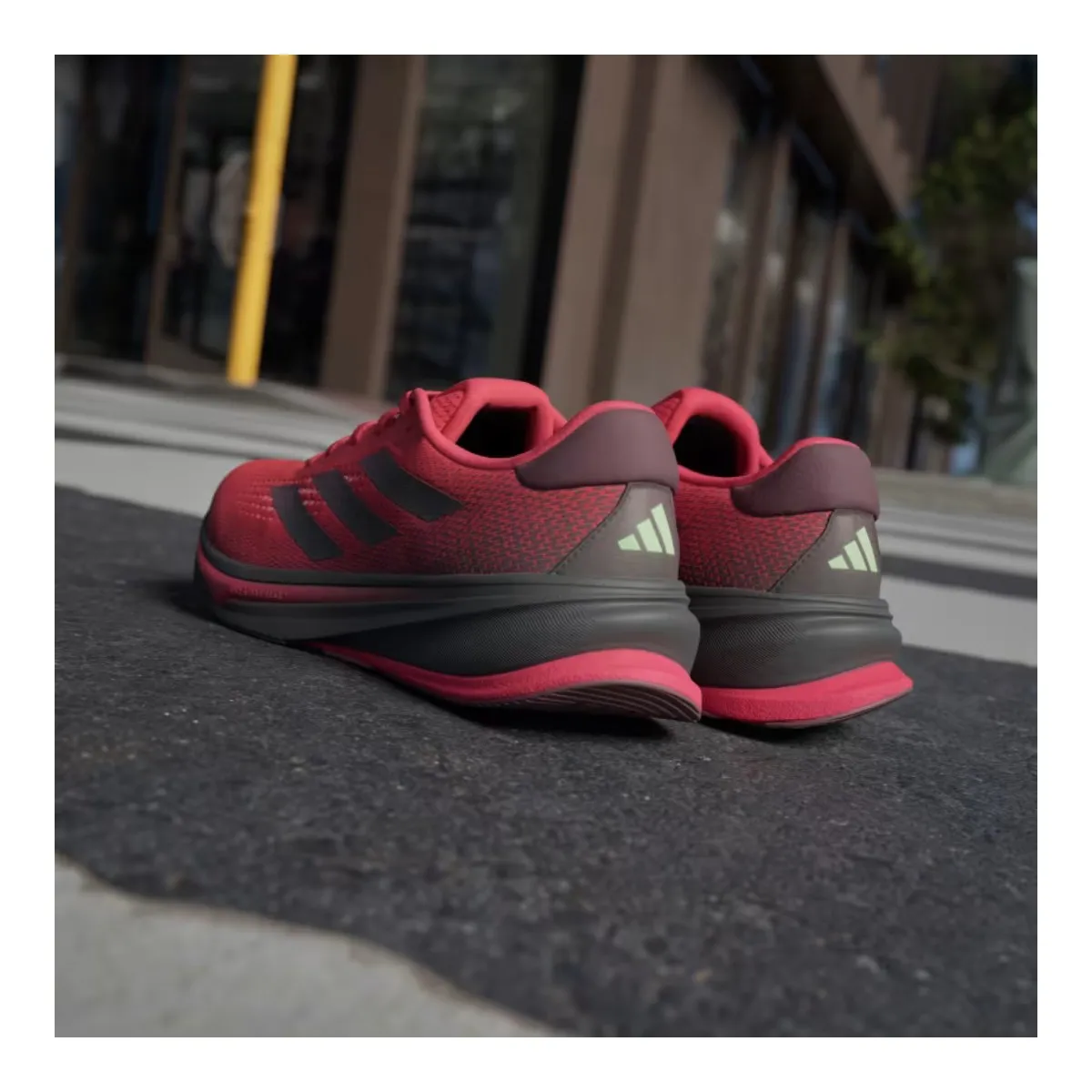 Shoes Adidas Supernova Rise Red Black SS24