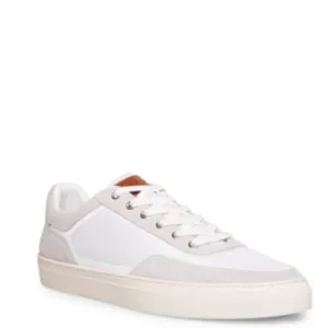 STEVE MADDEN - Fiercee Sneakers