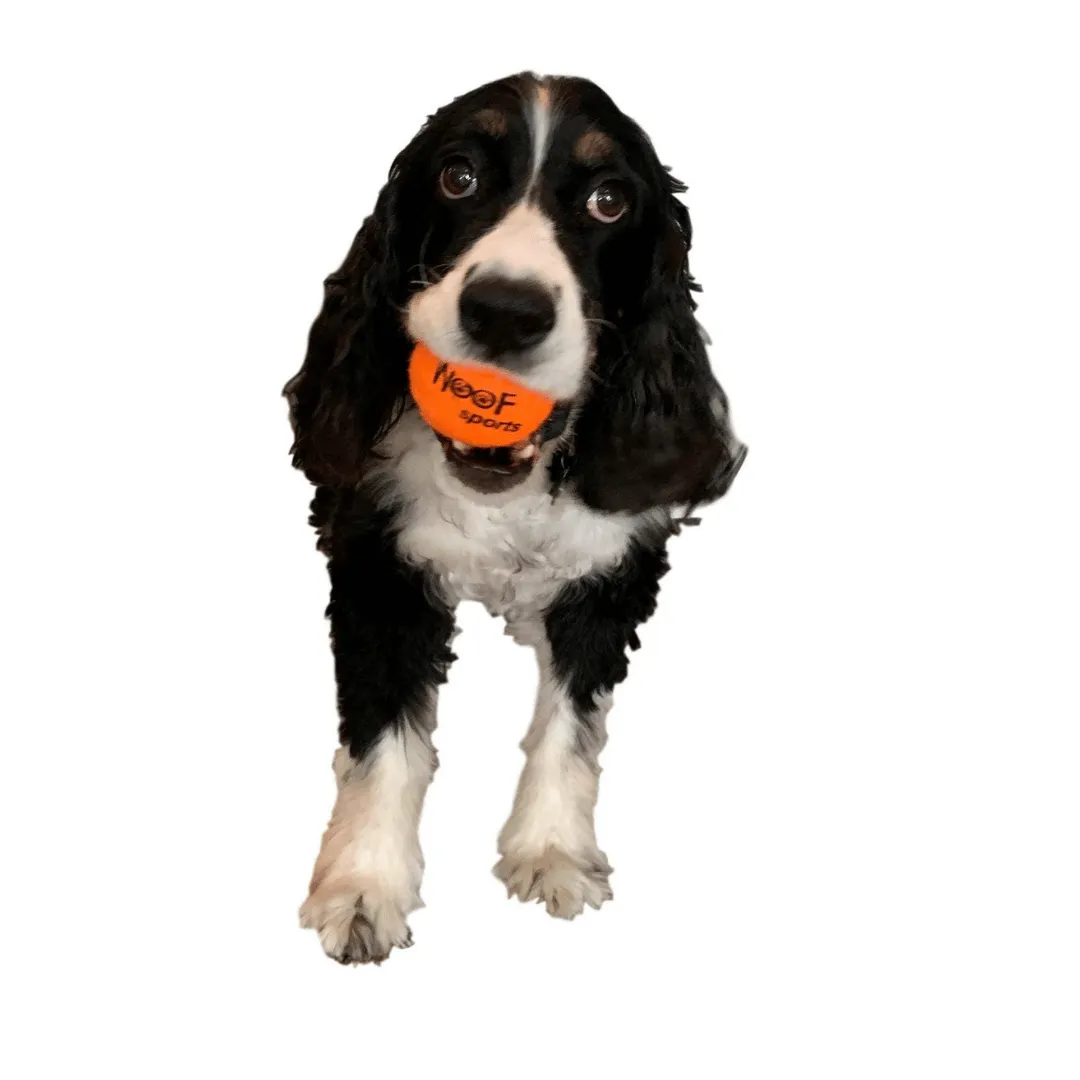 Woof Sports Tennis Balls Bag Dog Toy